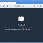 Google Chrome and Plugins
