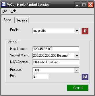 wake on lan magic packet sender