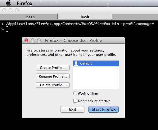 Firefox: Start with Profile Manager