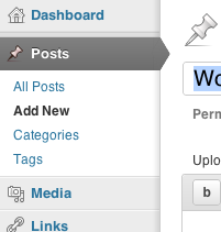 Get all terms for a Post in WordPress